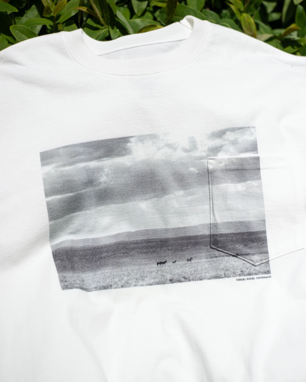 WILD HORSE POCKET T-SHIRT