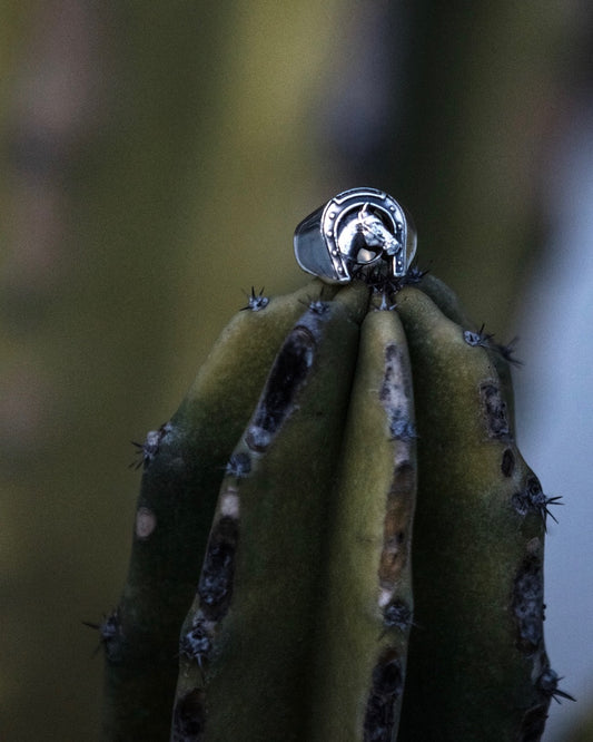 HORSE & HORSESHOE RING