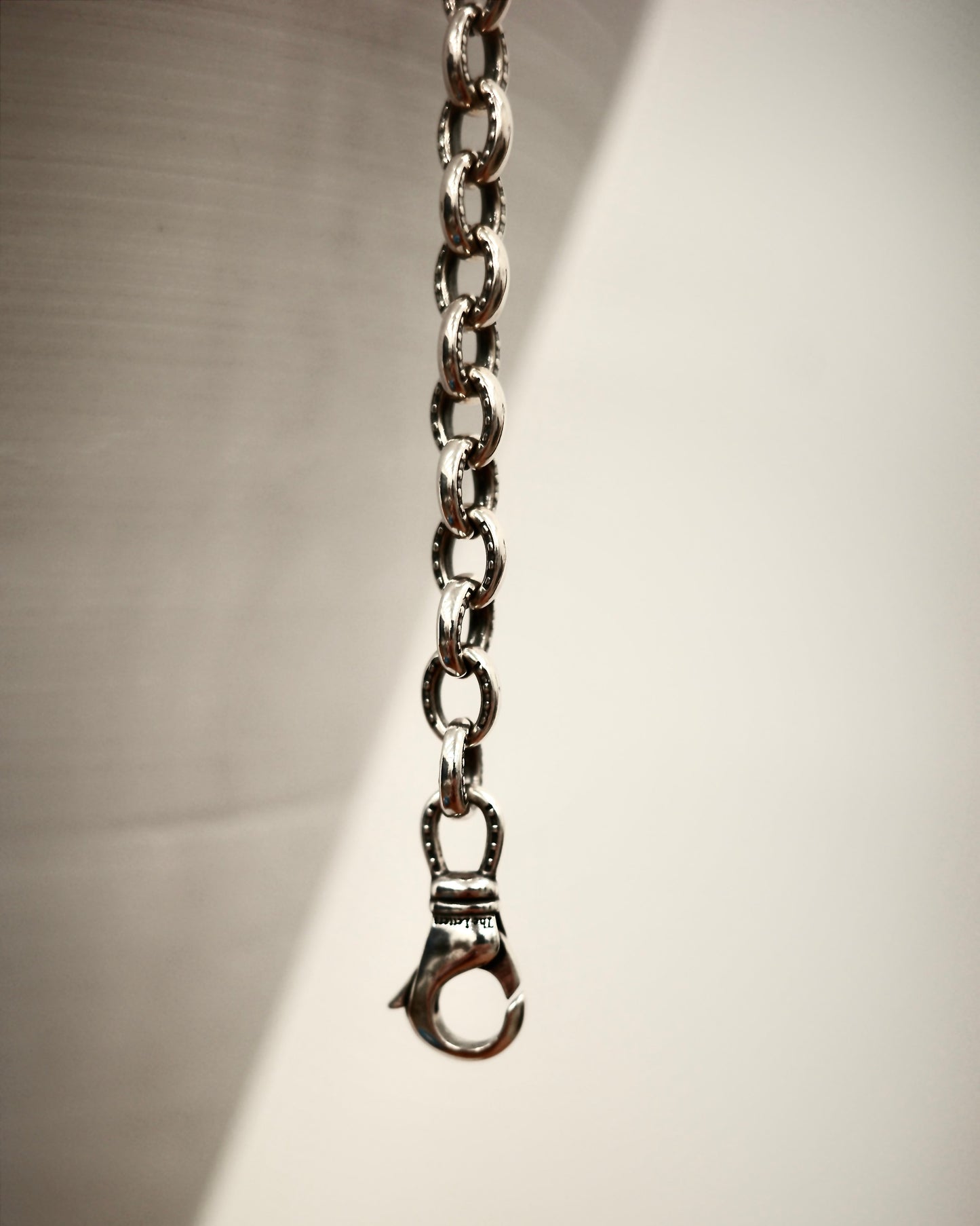 HORSESHOE W CLIP SHORT CHAIN