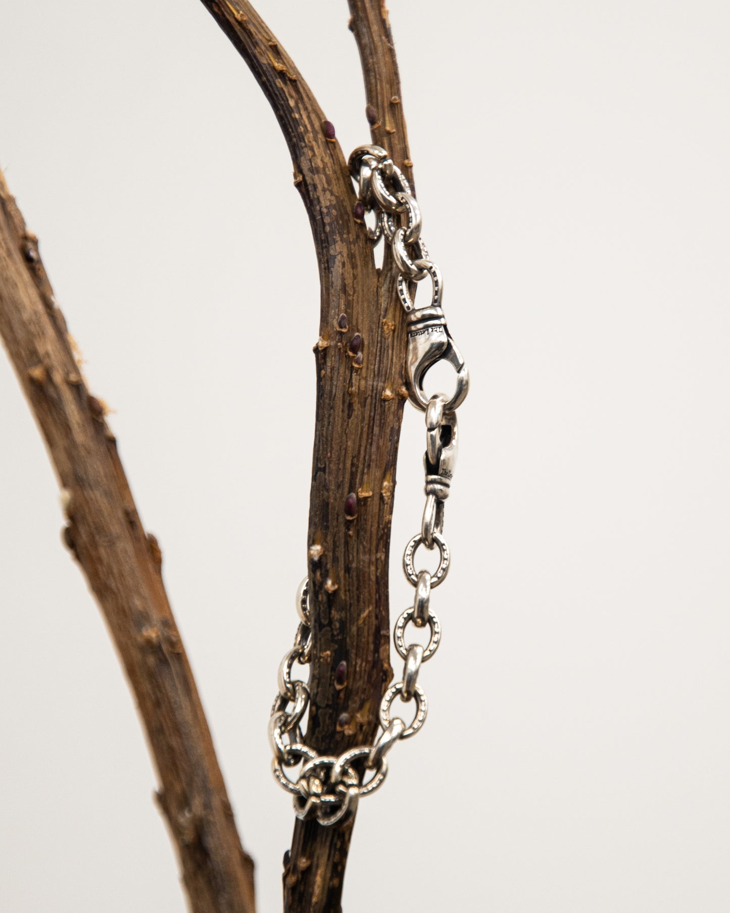 HORSESHOE W CLIP SHORT CHAIN