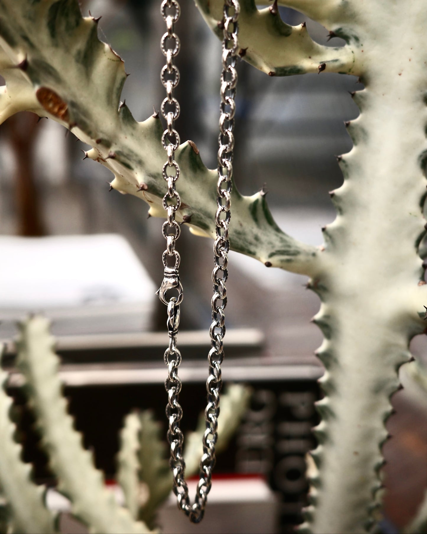 HORSESHOE W CLIP LONG CHAIN