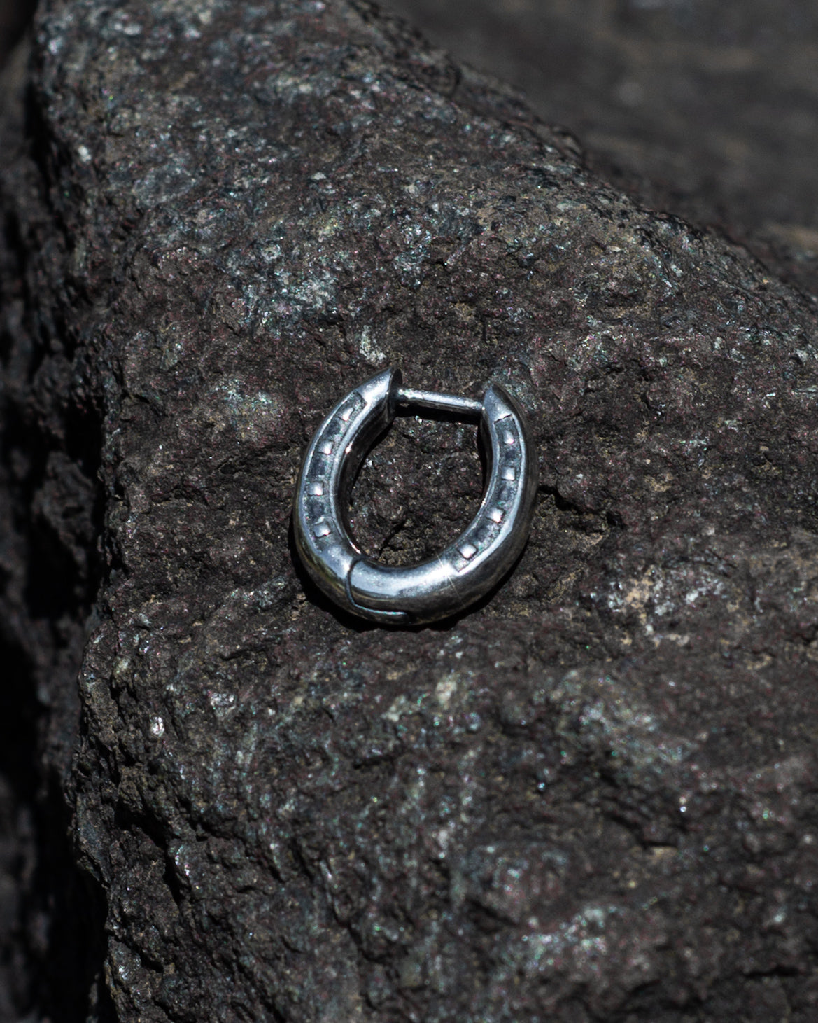 HORSESHOE EARRING