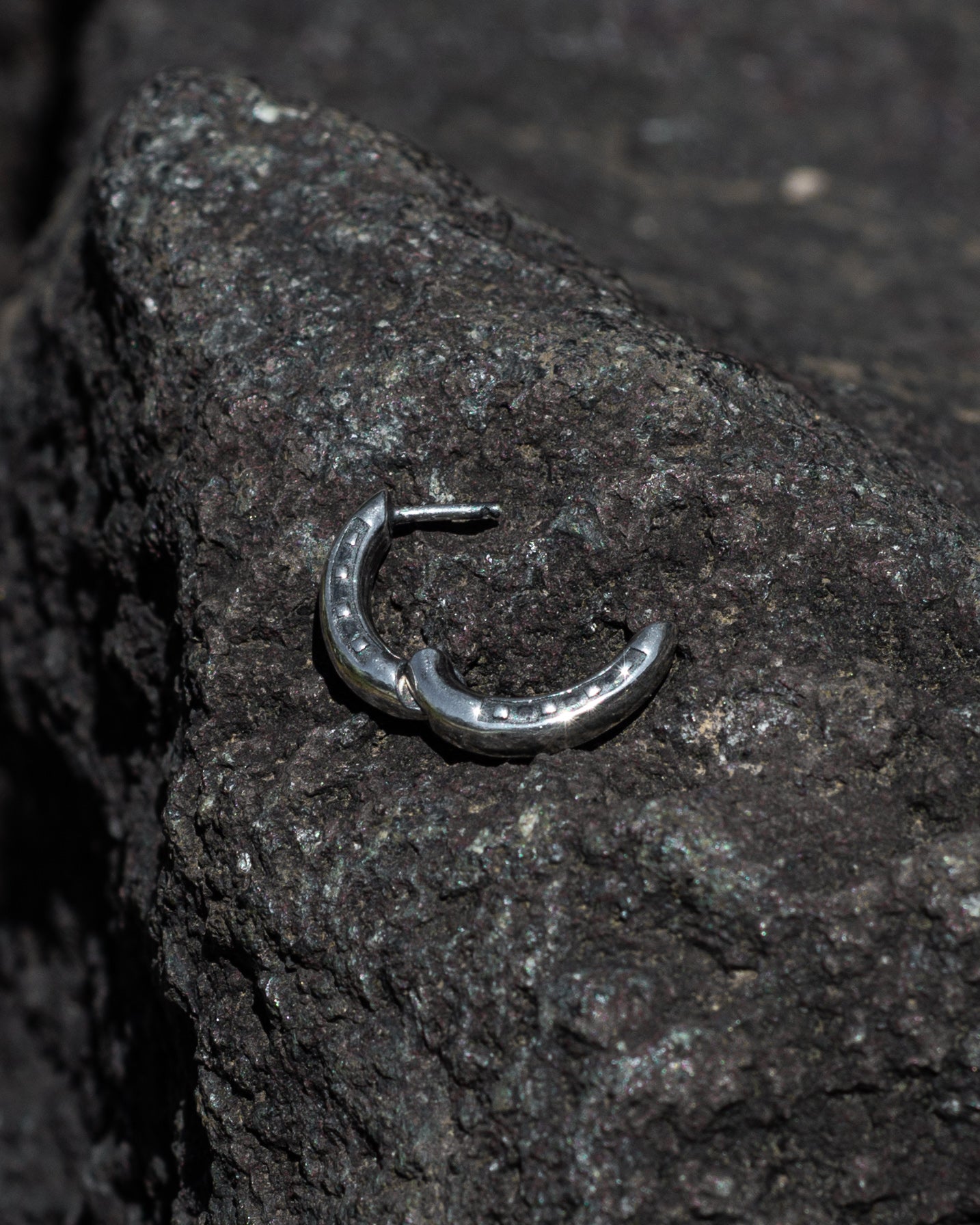 HORSESHOE EARRING