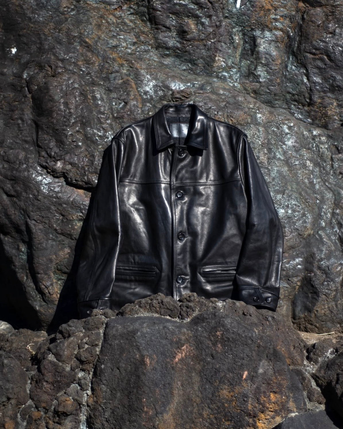 CAR COAT -HORSE HIDE-