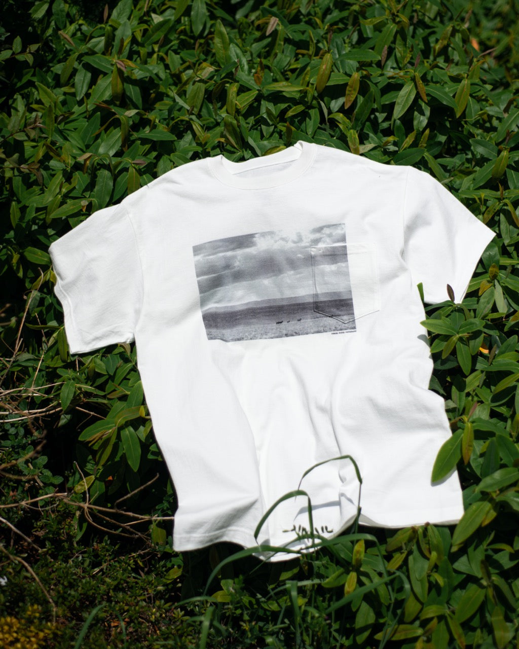 WILD HORSE POCKET T-SHIRT
